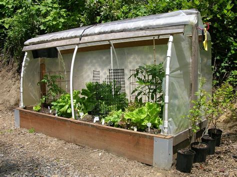 Beskytter Container Gardens fra Frost